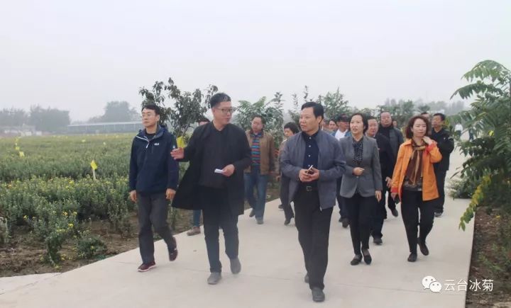 云臺冰菊基地發(fā)生了什么？一批批領導專家團隊前來！