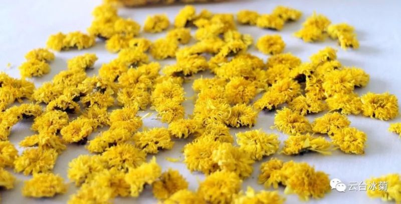 2018，種下希望，靜待花開！